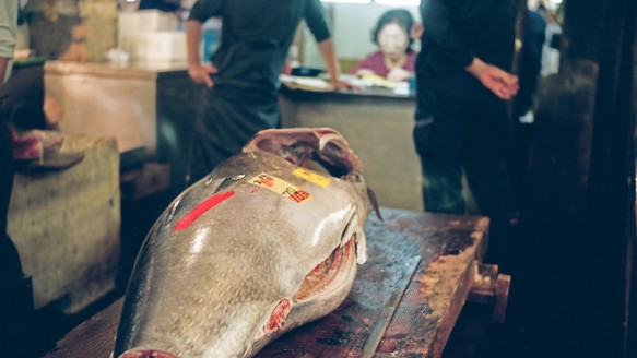 Tsukiji Fish Market
